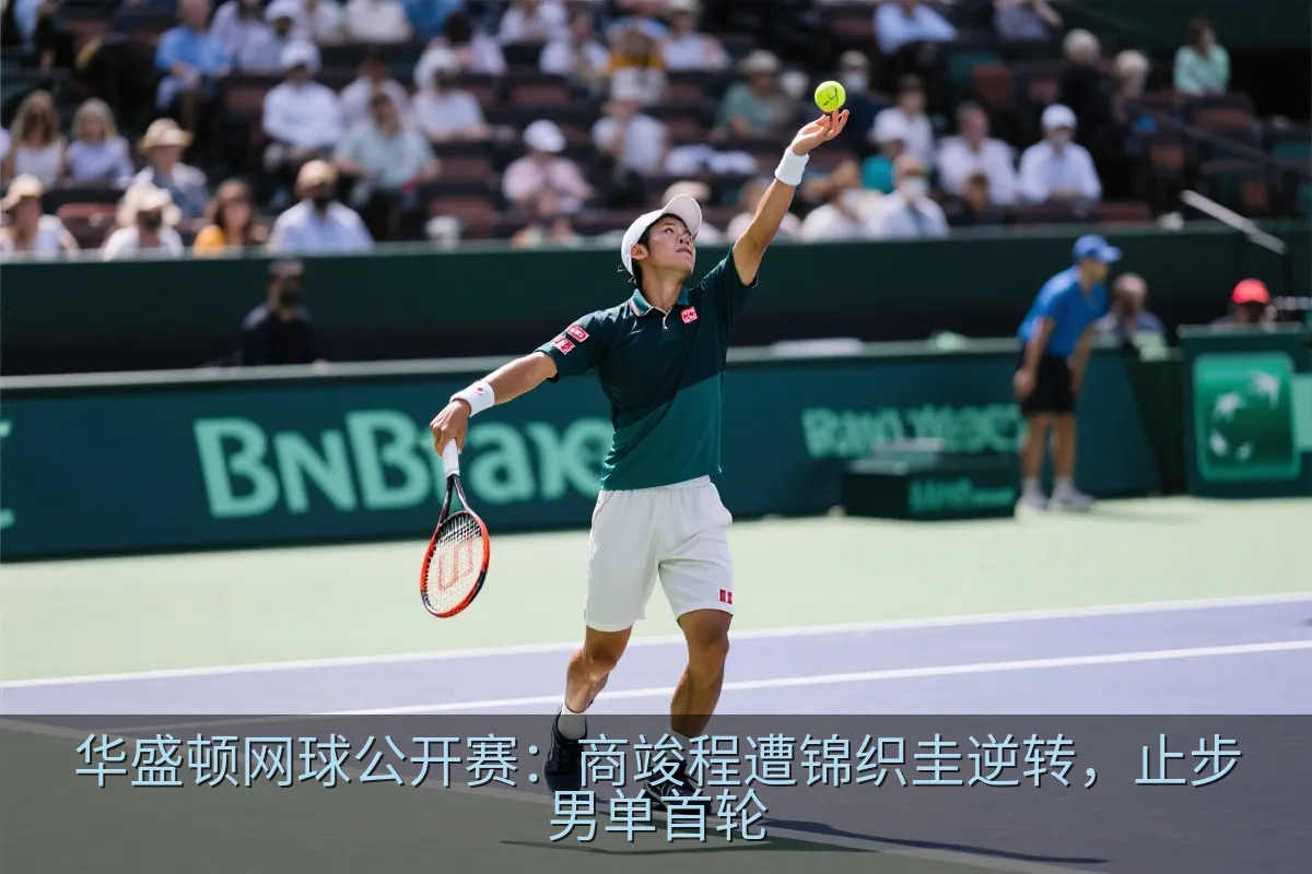 锦织圭在华盛顿网球公开赛比赛中准备回球